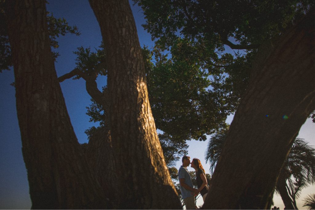 Creative Santa Monica engagement photo taken through a tree near Santa Monica pier