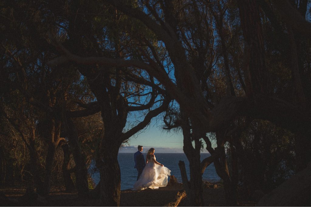 Couples portrait at their wedding shot through the tress with the ocean in the background at the Butterfly preserve in Goleta 